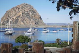 Inn at San Luis Obispo - San Luis Obispo - 4