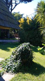 Cabaña,Chalet Alpino Bosques de Peralta Ramos - 7