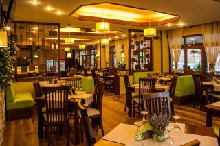 Hotel Riviera - Sinaia - 4