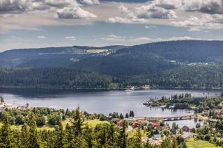 Fewo Fox'n - Die clevere Unterkunft mit Pool - Schluchsee - 4