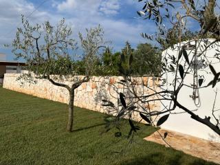 Trullo Gemma - Martina Franca - 1