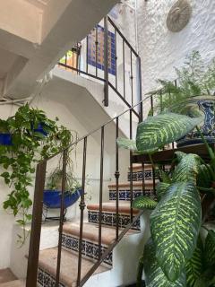 Studio Romantique - Tropical Garden - Puerto Vallarta - 2