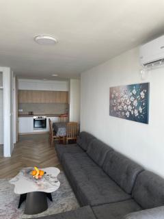 Pine forest apartment - Ulcinj - 2