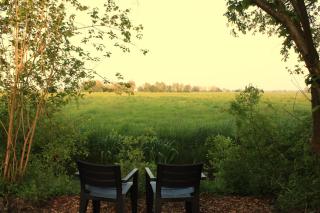 Finse Kota's Schotererf - 6