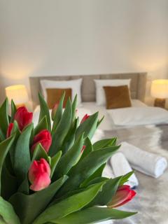 Karkonoskie Widoki Apartamenty - Karpacz - 8