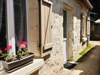 Logement neuf et cosy proche centre ville - Chinon - 4