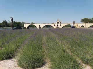 Studio climatisé intramuros - Avignon - 5