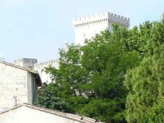 Appart 2 chambres intramuros - Avignon - 4