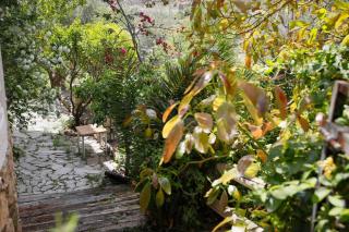 La casa tropical - Vélez de Benaudalla - 3