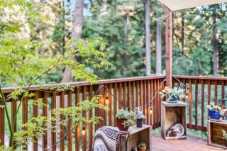 Redwood Oasis - Eco-luxury cabin with hot tub in the Santa Cruz Mountains - 7