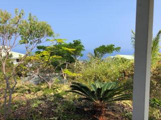 The Pineapple Express Hot Tub Volcano 65 Mi Away - Papa Bay Estates - 2