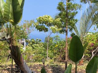 The Pineapple Express Hot Tub Volcano 65 Mi Away - Papa Bay Estates - 1