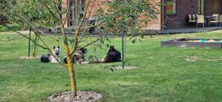 Ostoja pod Orlami - Dom - 5