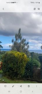 Au petit salako - 2