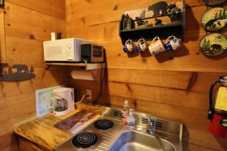 Amazing Cabin HOT tub minutes to Helen #1 - Helen - 2