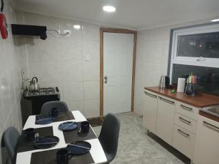 Arriendo casa nueva por día - Punta Arenas - 5