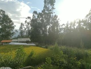 Pitec Hostel Lodge - Huaraz - 6