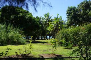 Hôtel Atiapiti - Opoa - 7