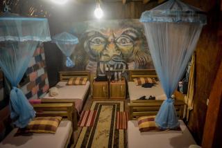 Hostal Tree House - 1