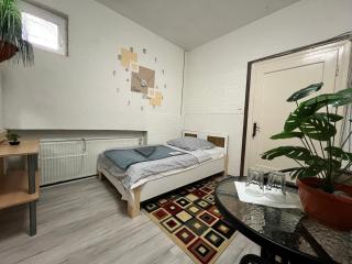 Family S.E.T. - Sibiu - 2