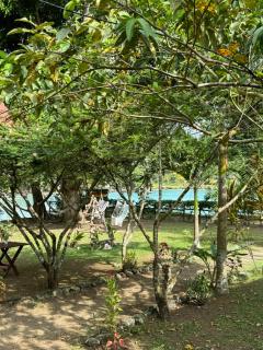 Casa Alma - Capurganá - 9