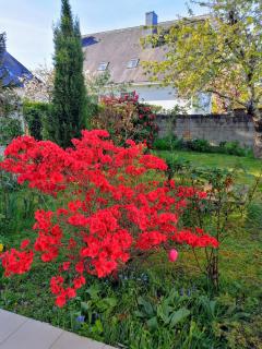 Chantilly - Orvault - 5