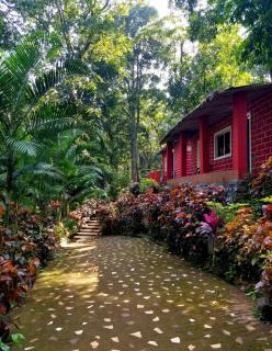 White Water Resort dandeli - 5