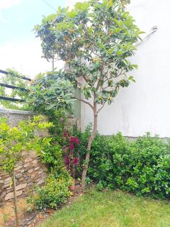 Betty's Garden House - Nea Anchialos - 4
