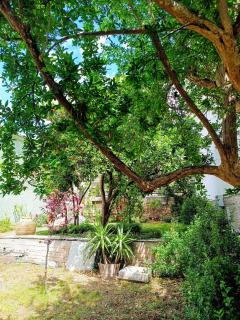 Betty's Garden House - 3