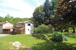 Trois anes et un moulin - Bessines-sur-Gartempe - 5