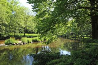 Trois anes et un moulin - Bessines-sur-Gartempe - 4