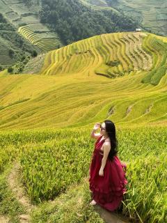 See bungalow mu cang chai - Mù Cang Chải - 2