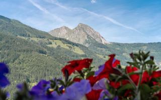 am mühlbach - einfach sein, mit Gemeinschaftsküche - Dorfgastein - 6