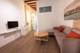 Barcelona Classic Gracia Apartments - Barcelona - 2