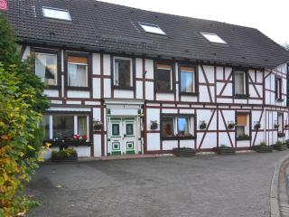 Modern group of homes close to Willingen and Winterberg with large garden - Medebach - 0