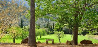Fangar Agroturismo - Campanet - 5