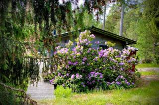 Island Beach House - Värmdö - 7