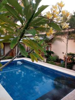 Gemütliches Apartment 1 Bettraum - Kuta Lombok - 3