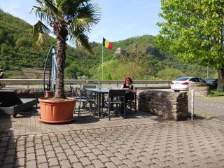 Haus Moselwind - Burgen - 9