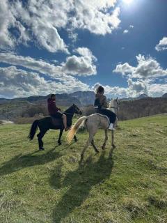 Brvnara Katun - Žabljak - 1