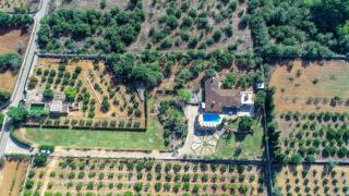 Ferienhaus mit Privatpool für 6 Personen ca 150 qm in Muro, Mallorca Nordküste von Mallorca - Muro - 1