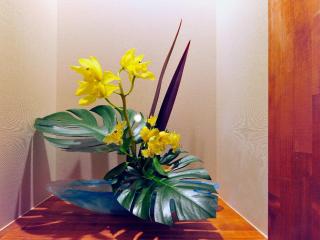 Ryokan Seifuso - Vacation STAY 85475v - Matsumoto - 5