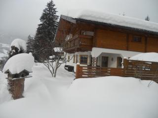 Appartement Thunhart Wilfried&Elisabeth - Altenmarkt im Pongau - 8