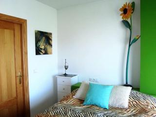 THE RED TERRACE PENTHOUSE A 7Km CITY CENTER GRANADA - Churriana de la Vega - 6