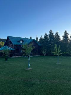 Apartments & Camp Stanišić - Nikšić - 5