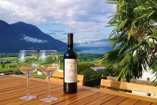 4-Zi-WG Casa Sogno - Valle mit Kamin. Alleinlage im Rebberg! - Agarone - 0
