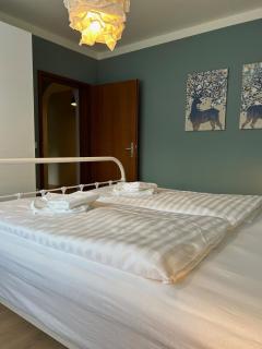 Chiemgau Comfort F4 Ferienwohnanlage Oberaudorf mit Hallenbad und Sauna - Oberaudorf - 3
