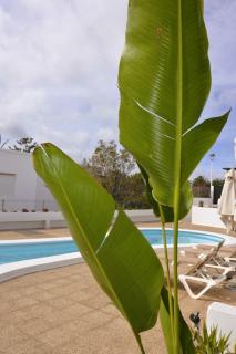 Apartamento Lapa - Tías - 2