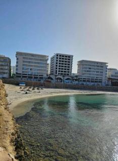 La perle rare - Monastir - 0