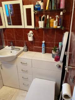 Happy Place with kitchenette- female only - Sydenham - 7